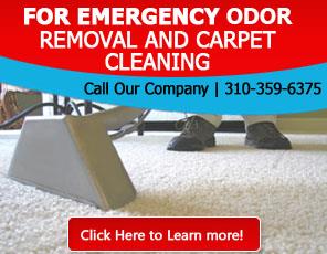 Carpet Cleaning Hermosa Beach Infographic