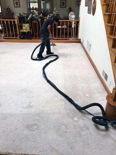 How to Deep Clean Carpets: Doing a thorough job without a fuss