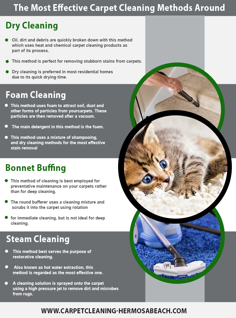 Carpet Cleaning Hermosa Beach Infographic