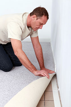 Carpet Cleaning Services